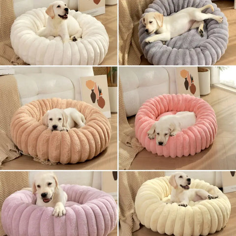 Golden retriever lying on various plush pet beds in multiple colors