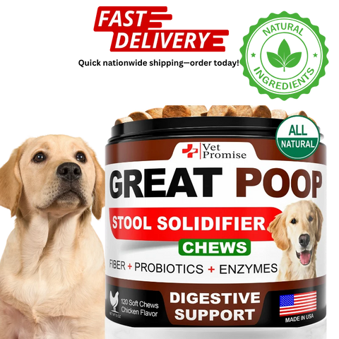 Great Poop probiotics dog supplement with natural ingredients.