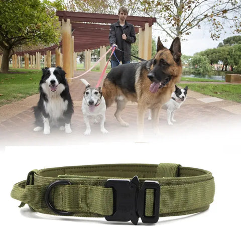 Green dog collar with black buckle in a park setting for active outdoor adventures