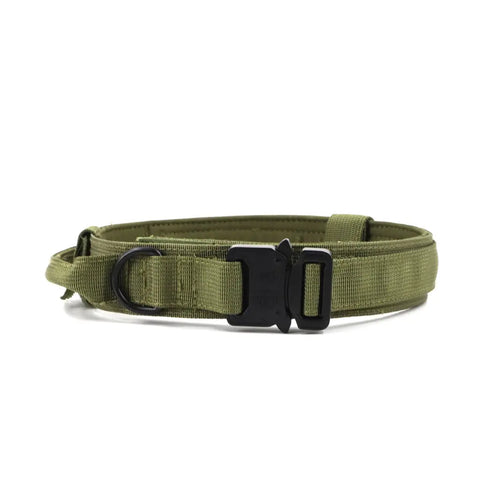 Green dog collar with black buckle on white background for everyday walks and adventures