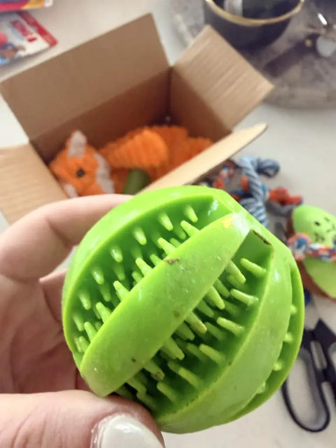 Customer hand holding a green rubber studded chew ball dog toy with a box of plush pet toys in the background, customer review image.