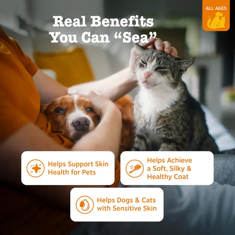 A relaxed brown dog and a grey tabby cat being petted by their owner, illustrating benefits of Zesty Paws for pets with sensitive skin.