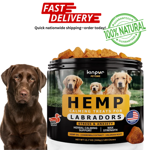 Hemp calming treats for Labradors by Kinpur Petcare container.