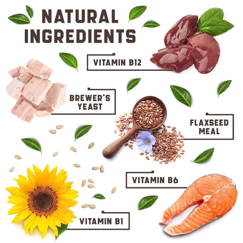 Illustration of natural ingredients with labels for dogs.