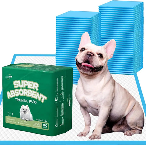 French Bulldog next to a 100-count box of Immcute Super Absorbent Training Pads and stacks of blue regular size pee pads.