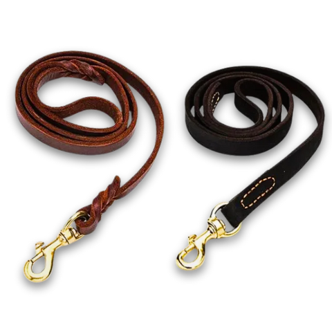 Two leather dog leashes, brown and black with gold clamps on white background