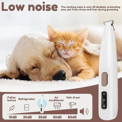 Dog and cat together during a quiet grooming session with a low-noise tool