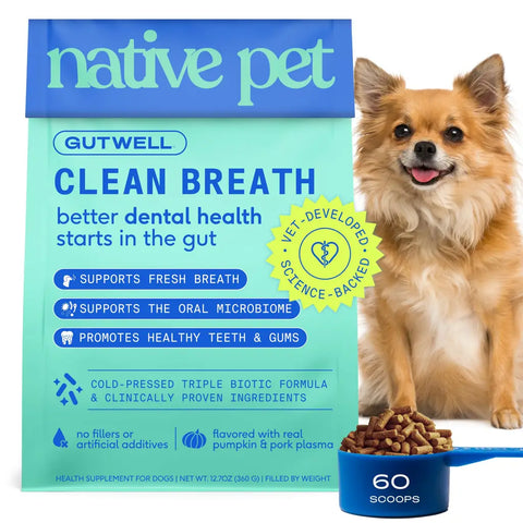 60 count pouch of Native Pet GutWell Clean Breath dental health supplement with real pumpkin and pork plasma flavor.