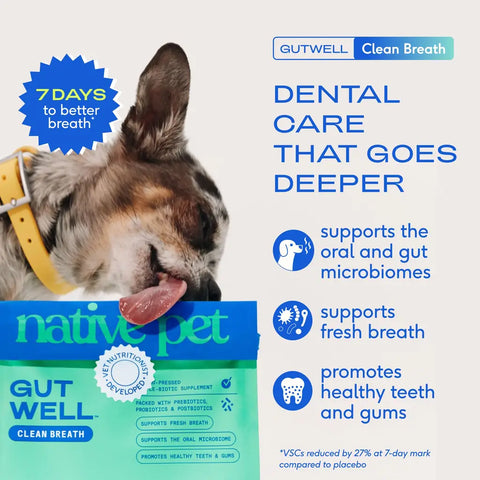 Native Pet GutWell Clean Breath dental care supplement for dogs showing 7-day results for fresh breath and oral microbiome support.
