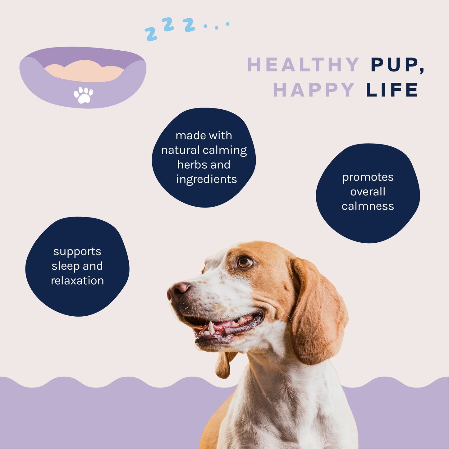 Dog with text about natural calming herbs and ingredients for a healthy and happy life.