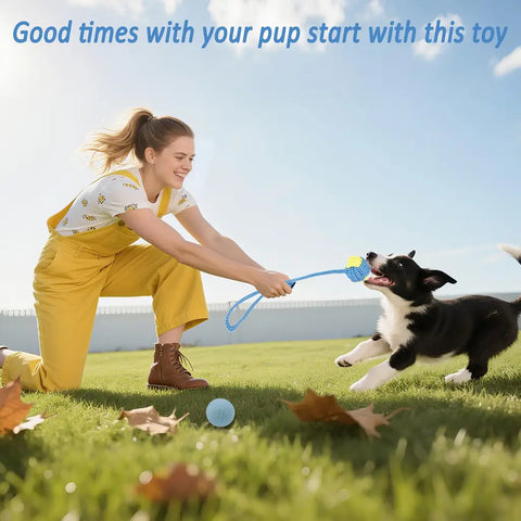 Woman playing tug-of-war with a puppy in a park using a rope and ball toy