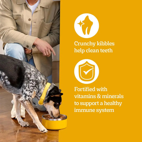 A dog eating from a bowl with text describing crunchy kibbles that clean teeth and support the immune system.