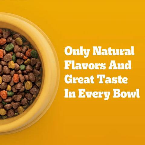 Close-up view of a dog bowl filled with multi-colored Pedigree dry dog food kibble made with natural flavors.