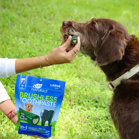 A person outdoors feeding an Ark Naturals Brushless Toothpaste dental chew to a large brown dog.