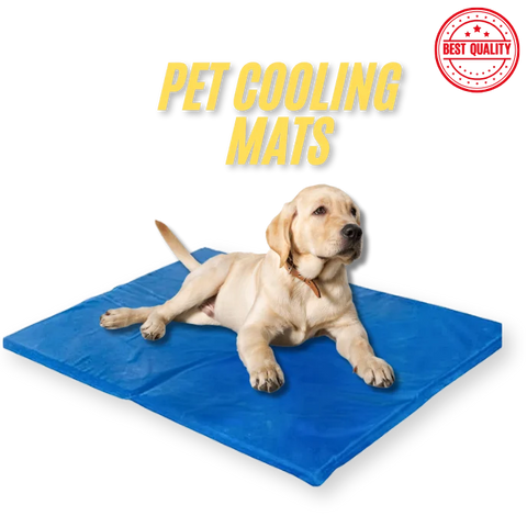 Dog lying on a blue cooling pad on a white background.
