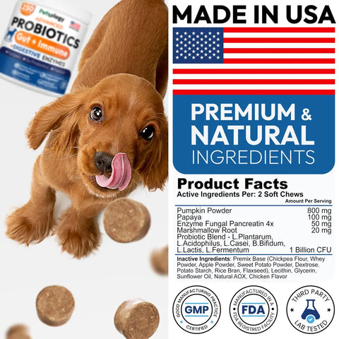 Back label product facts for Petsology dog chews showing 1 billion CFU probiotics, pumpkin powder, and papaya dosage alongside GMP certified and FDA registered facility stamps.