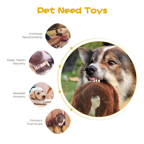 Infographic showing benefits of plush dog toys including healthy teeth, anxiety relief, and furniture protection, featuring a dog chewing a toy.
