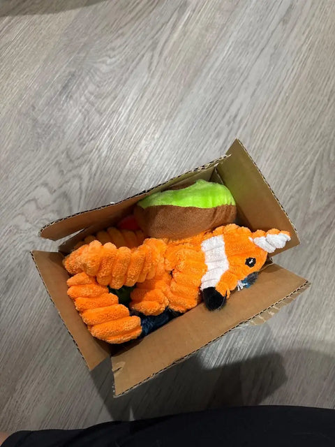 Orange plush fox and green avocado dog toys packed inside a small open shipping box on a grey floor, customer review image.