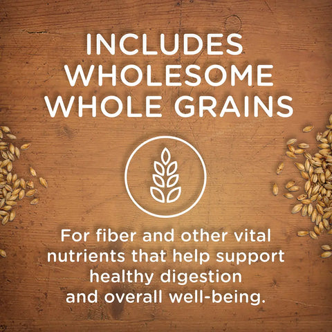 Infographic highlighting wholesome whole grains for healthy digestion and dog well-being with grain graphics on a wooden background.