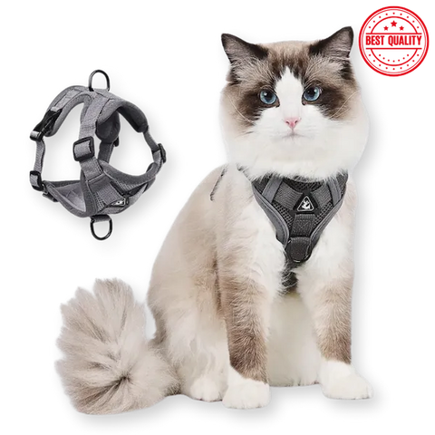 White cat wearing a grey reflective vest harness with breathable mesh and leash