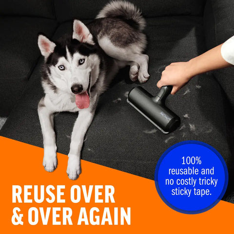 Reusable black ChomChom lint roller cleaning pet hair off a sofa next to a Husky dog.