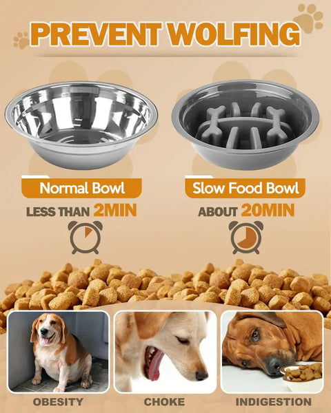 Comparison between a normal bowl and a slow feeder bowl showing how it prevents choking and indigestion.