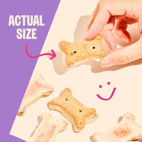 A hand holding a small bone-shaped dog biscuit to demonstrate the actual size for pet owners.