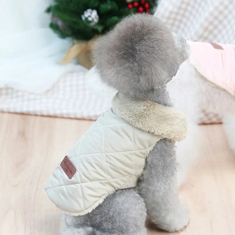 Small dog wearing a white quilted coat with fluffy pom-pom detail for stylish warmth