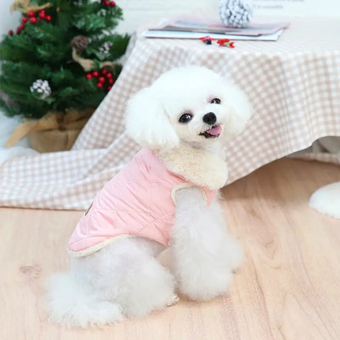 Small white dog modeling a stylish pink coat for cozy and fashionable small breed fashion
