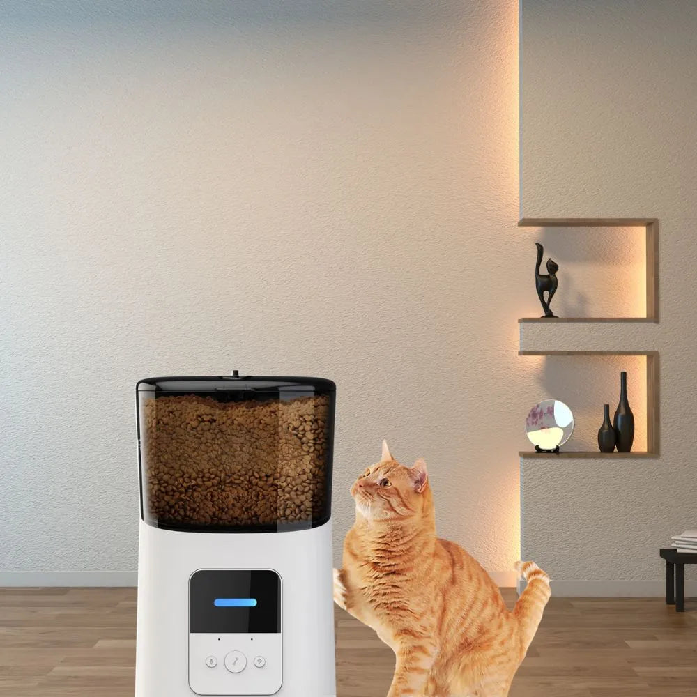 Cat looking at a pet food dispenser in a room with shelves and decor.