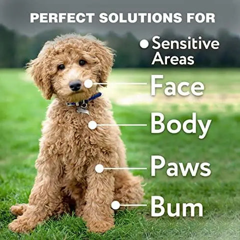 Smooth operation grooming tool used by pet dog for regular brushing.