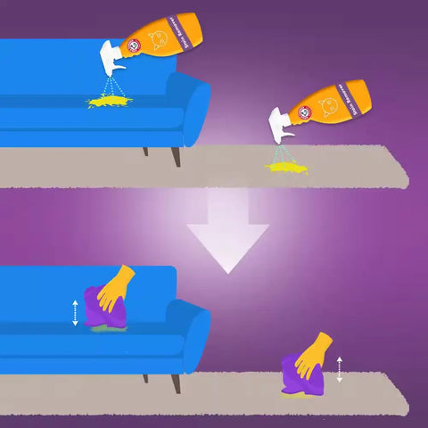Step-by-step illustration of Arm & Hammer pet stain removal process.