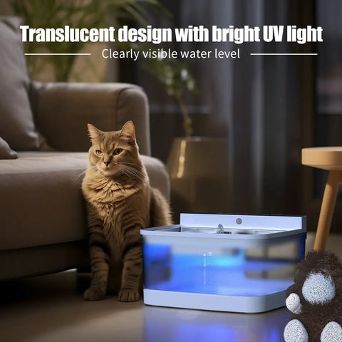 Translucent cat water fountain with blue UV sterilization light glowing next to a cat