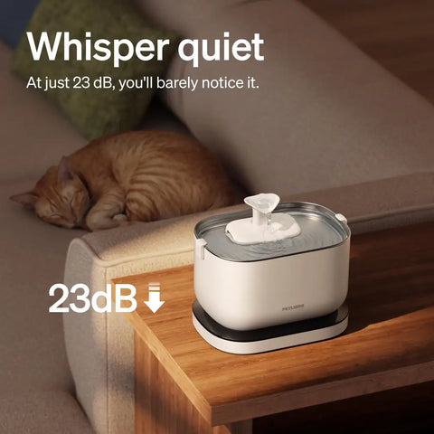 An orange cat sleeping peacefully next to a whisper-quiet 23dB PETLIBRO water fountain.