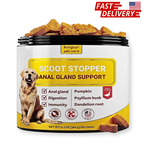 Veterinarian examining dog for anal gland and digestive health support.