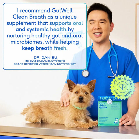 Dr. Dan Su, Board Certified Veterinary Nutritionist, recommending Native Pet GutWell Clean Breath for dog oral and systemic health.
