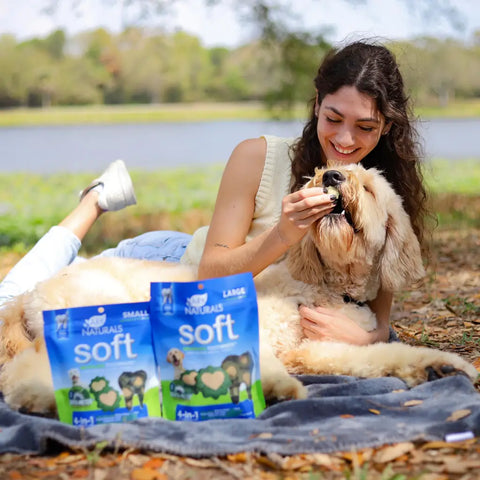 A woman sitting outdoors feeding an Ark Naturals soft dental chew to her golden doodle.