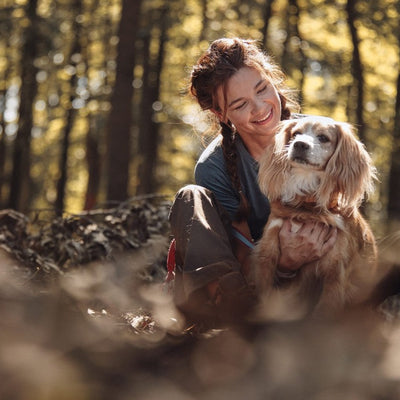 From Frustrated to Fantastic: Dog Training That Actually Works for Busy American Families