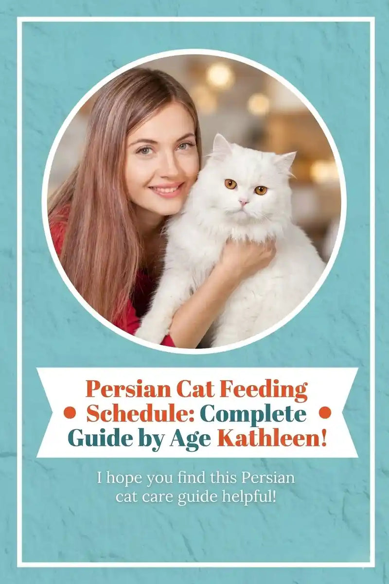 Persian Cat Feeding Schedule: Complete Guide by Age