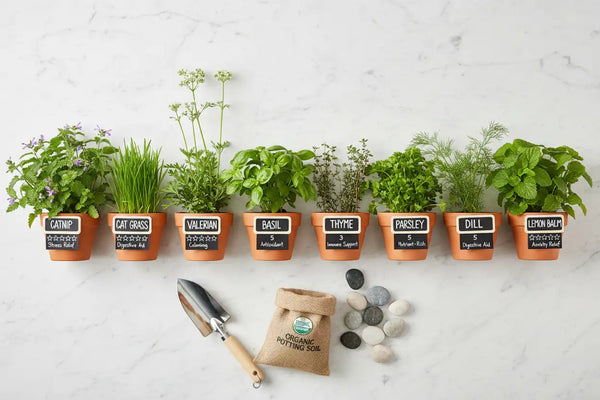 Urban Oasis: Your Guide to a Stunning & Cat Safe Balcony Garden of Herbs