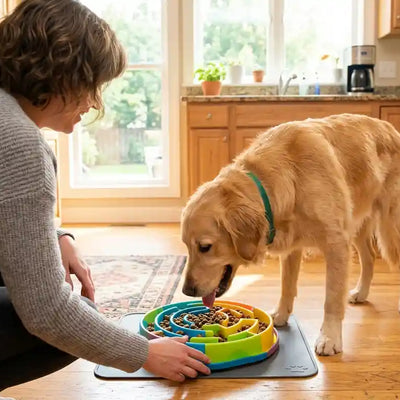 Best Slow Feeder Dog Bowls 2026: Stop Bloat & Gulping