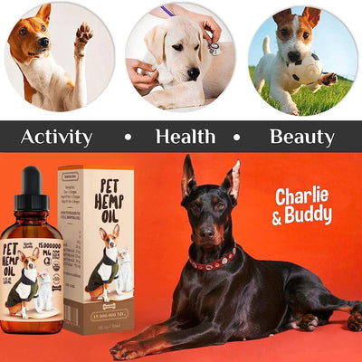 Charlie & Buddy Hemp Oil: Natural Calming & Joint Relief for Dogs and Cats in 2026