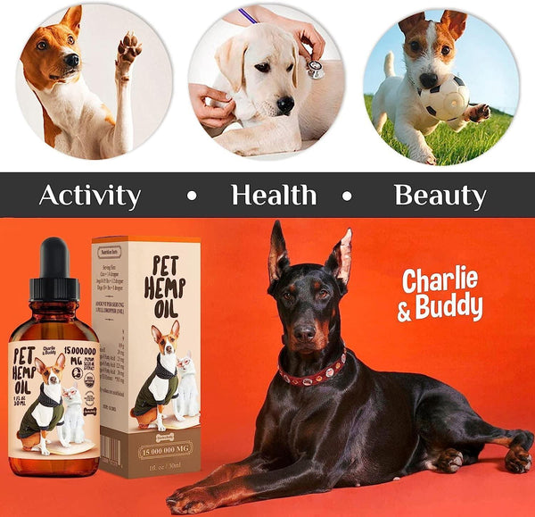 Charlie & Buddy Hemp Oil: Natural Calming & Joint Relief for Dogs and Cats in 2026