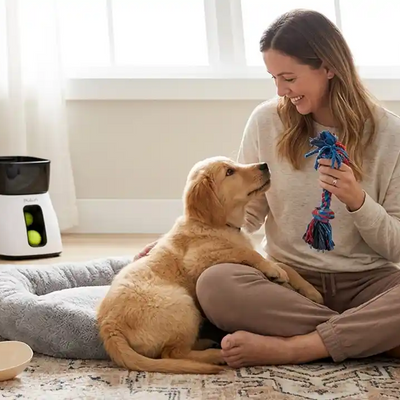 Top Online Pet Stores for New Puppy Supplies 2026