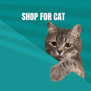 Essential Cat Accessories for Comfort & Play
