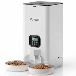 Never Miss Your Cat's Meal Again