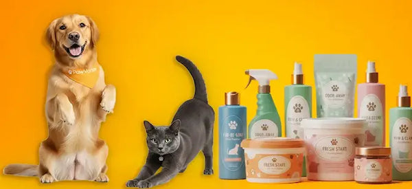 Pet Cleaning