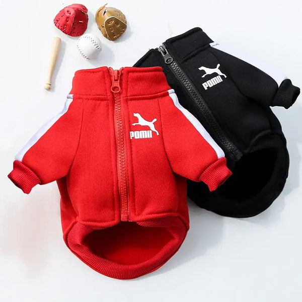 Pet Clothes