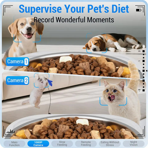 Split screen view from the pet feeder camera showing 1080P high-definition footage of dogs and cats eating and playing.