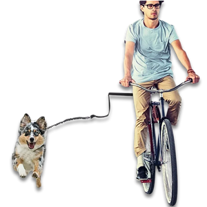 Cycling Dog Leash with Elastic Buffer – Hands-Free Walking Gear